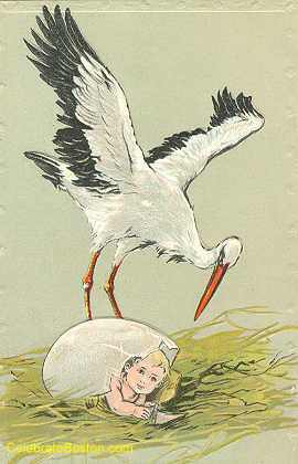 An Egg Has Hatched New Baby Card, 1911